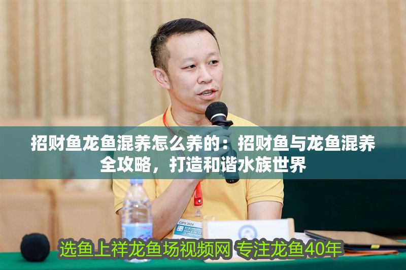 招財魚龍魚混養怎么養的：招財魚與龍魚混養全攻略，打造和諧水族世界