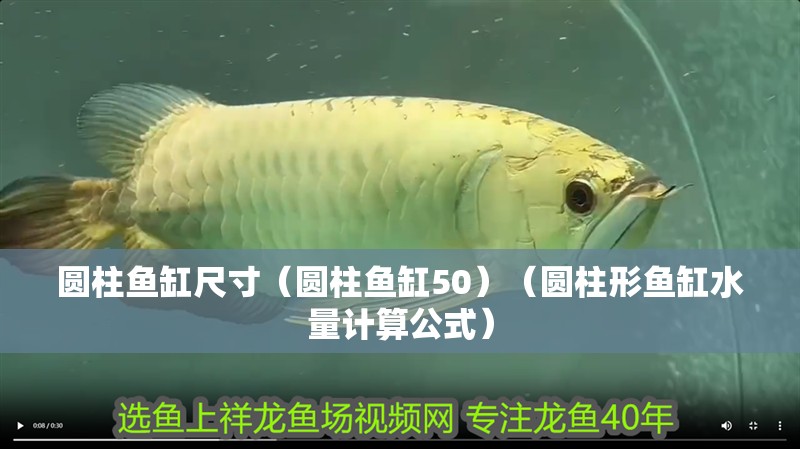 圓柱魚(yú)缸尺寸（圓柱魚(yú)缸50）（圓柱形魚(yú)缸水量計(jì)算公式） 圓柱魚(yú)缸尺寸（圓柱魚(yú)缸50）（圓柱形魚(yú)缸水量計(jì)算公式） 魚(yú)缸百科