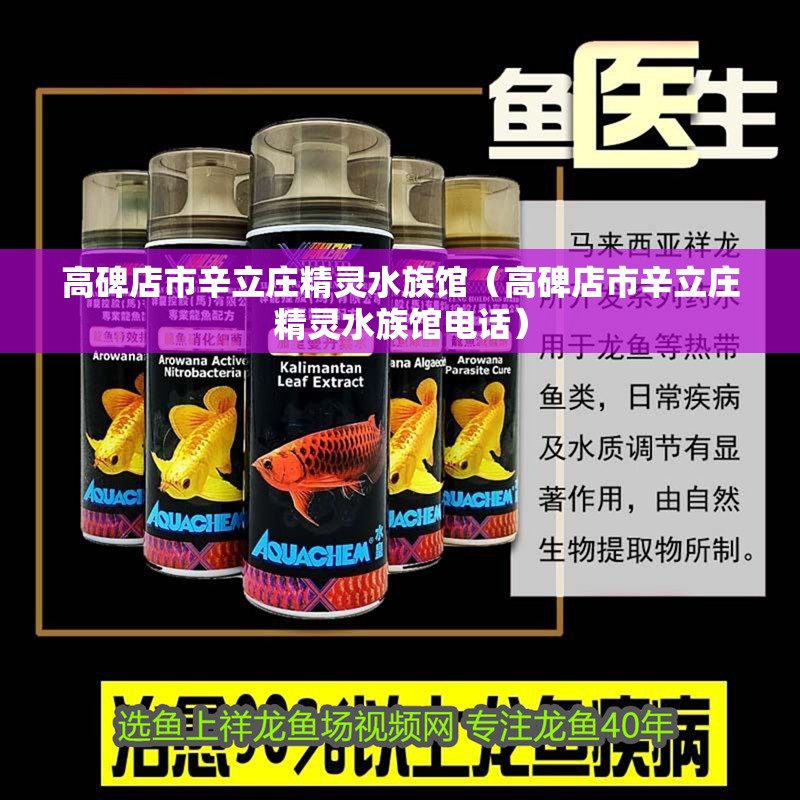 高碑店市辛立莊精靈水族館（高碑店市辛立莊精靈水族館電話）