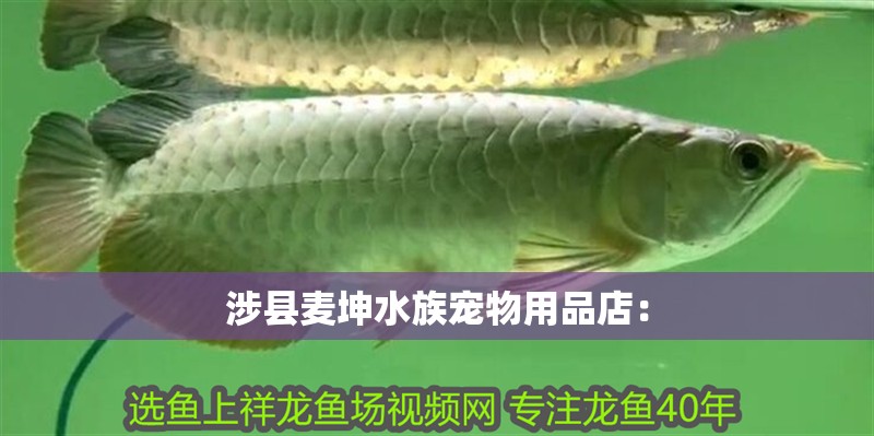 涉縣麥坤水族寵物用品店：