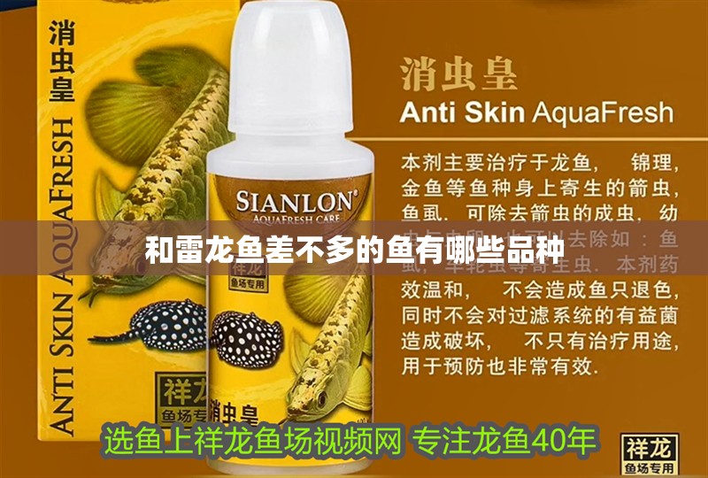 和雷龍魚差不多的魚有哪些品種