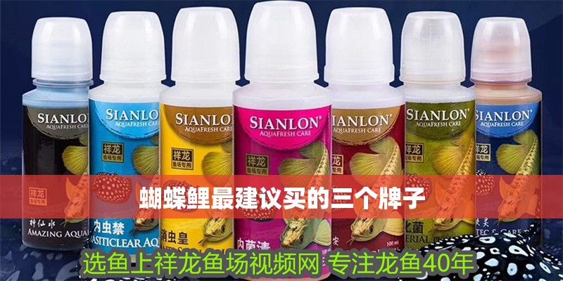 蝴蝶鯉最建議買的三個牌子