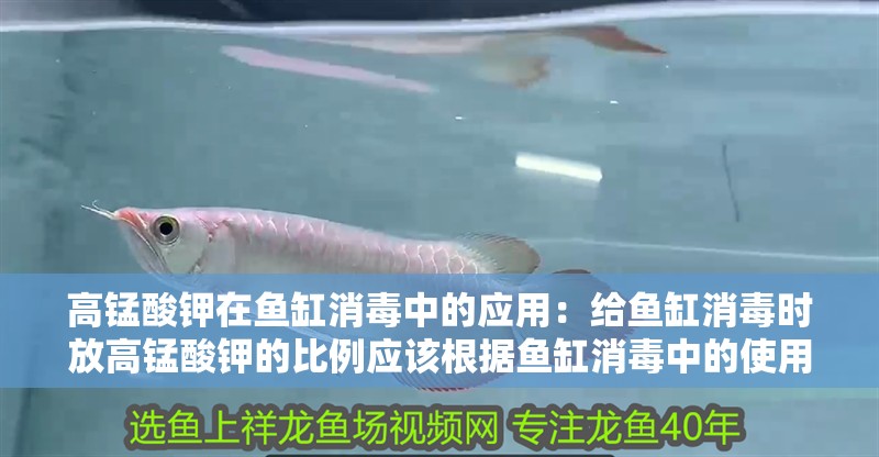 高錳酸鉀在魚缸消毒中的應用：給魚缸消毒時放高錳酸鉀的比例應該根據魚缸消毒中的使用比例