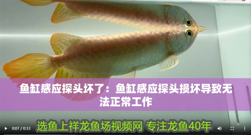 魚缸感應探頭壞了：魚缸感應探頭損壞導致無法正常工作