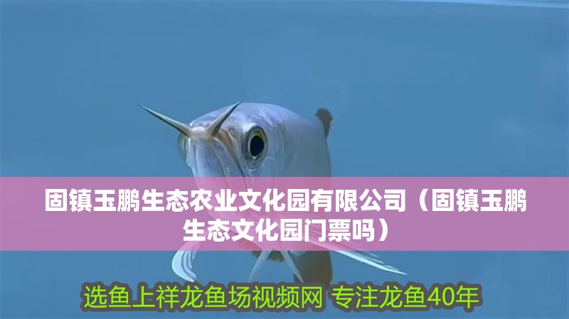 固鎮(zhèn)玉鵬生態(tài)農(nóng)業(yè)文化園有限公司（固鎮(zhèn)玉鵬生態(tài)文化園門(mén)票嗎）