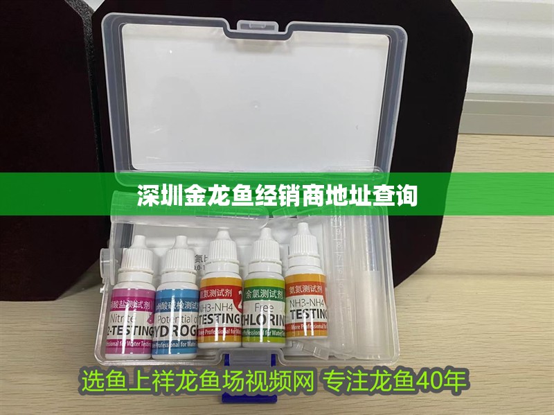 深圳金龍魚經銷商地址查詢