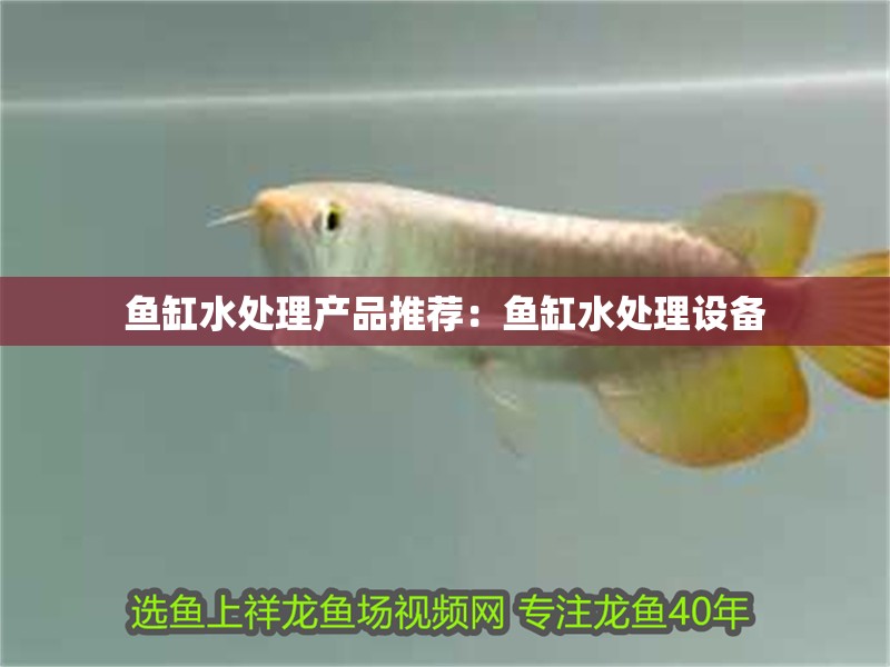 魚缸過濾器選購指南:自制魚缸過濾器魚缸上置過濾器對于養魚愛好者的必備知識 魚缸水處理產品推薦:魚缸水處理設備 魚缸百科 魚缸水處理產品推薦:魚缸水處理設備 魚缸水處理產品推薦:魚缸水處理設備 魚缸百科