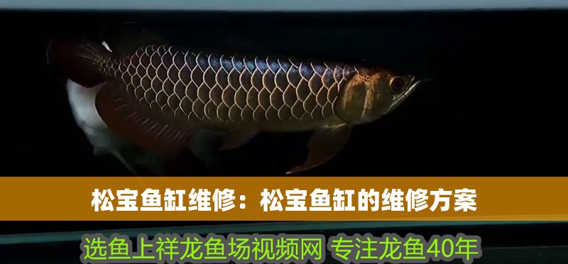 松寶魚缸維修：松寶魚缸的維修方案