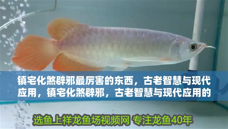 鎮(zhèn)宅化煞辟邪最厲害的東西，古老智慧與現(xiàn)代應(yīng)用，鎮(zhèn)宅化煞辟邪，古老智慧與現(xiàn)代應(yīng)用的終極指南