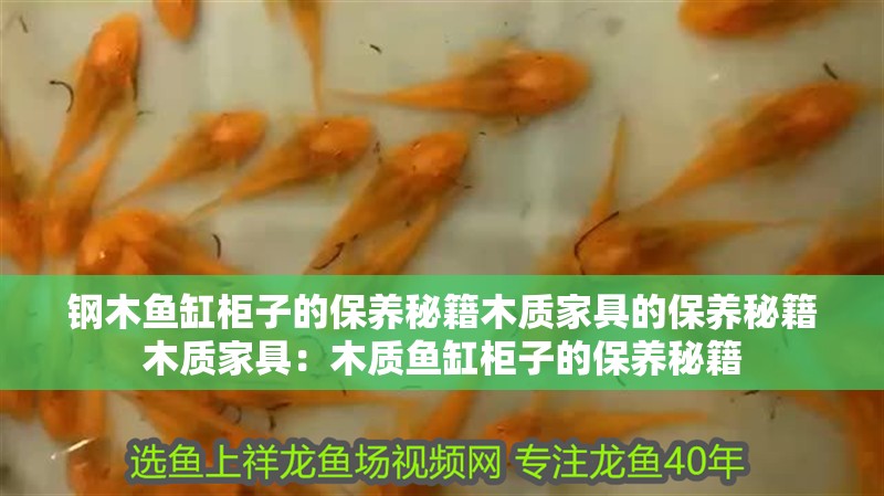 鋼木魚缸柜子的保養秘籍木質家具的保養秘籍木質家具：木質魚缸柜子的保養秘籍