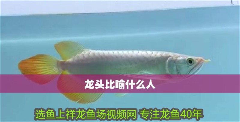 龍頭比喻什么人