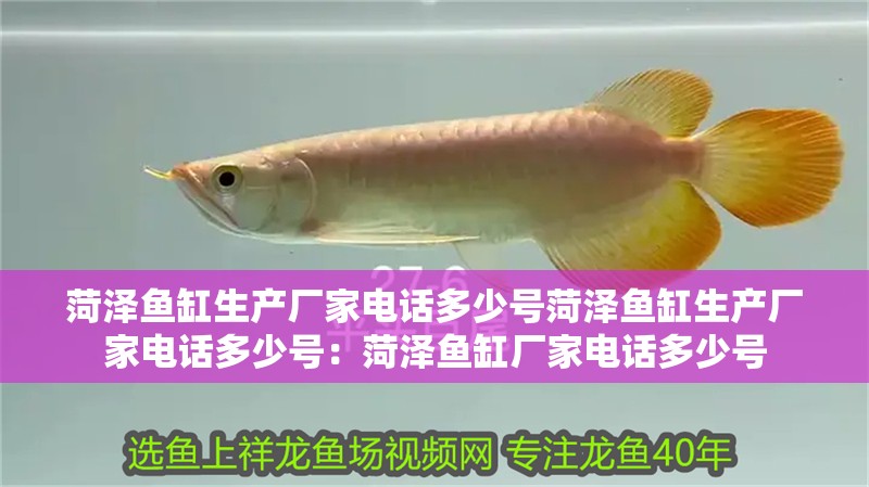 菏澤魚缸生產廠家電話多少號菏澤魚缸生產廠家電話多少號：菏澤魚缸廠家電話多少號 菏澤魚缸生產廠家電話多少號菏澤魚缸生產廠家電話多少號：菏澤魚缸廠家電話多少號 魚缸百科