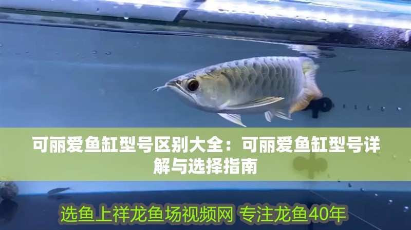 可麗愛魚缸型號區別大全：可麗愛魚缸型號詳解與選擇指南