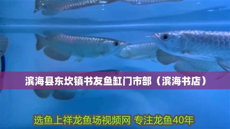 濱海縣東坎鎮書友魚缸門市部（濱海書店）