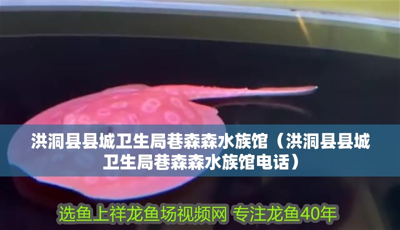 洪洞縣縣城衛生局巷森森水族館（洪洞縣縣城衛生局巷森森水族館電話）