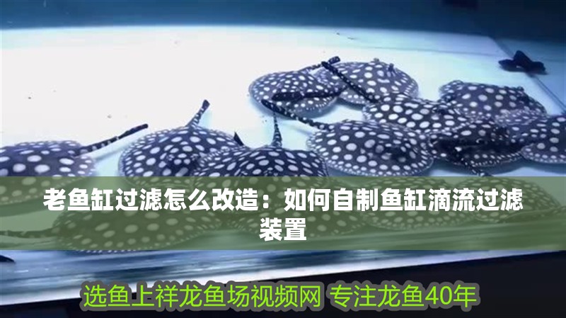 老魚缸過濾怎么改造：如何自制魚缸滴流過濾裝置