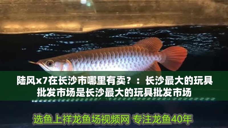 陸風x7在長沙市哪里有賣？：長沙最大的玩具批發市場是長沙最大的玩具批發市場 陸風x7在長沙市哪里有賣？：長沙最大的玩具批發市場是長沙最大的玩具批發市場 魚缸百科