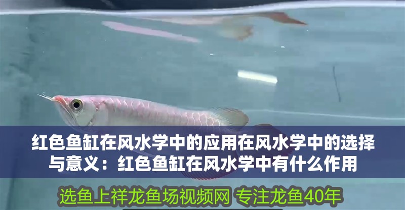 紅色魚缸在風水學中的應用在風水學中的選擇與意義：紅色魚缸在風水學中有什么作用