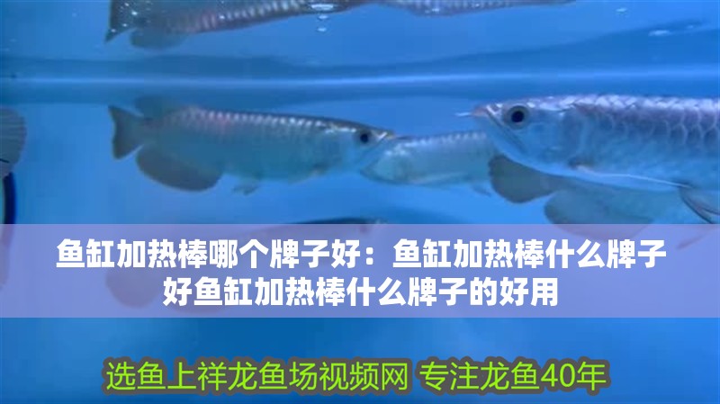 魚缸用增氧泵價格是多少:魚缸增氧機-xtrac增氧機-xtrac增氧機 魚缸加熱棒哪個牌子好:魚缸加熱棒什么牌子好魚缸加熱棒什么牌子的好用 魚缸百科 魚缸加熱棒哪個牌子好:魚缸加熱棒什么牌子好魚缸加熱棒什么牌子的好用 魚缸加熱棒哪個牌子好:魚缸加熱棒什么牌子好魚缸加熱棒什么牌子的好用 魚缸百科