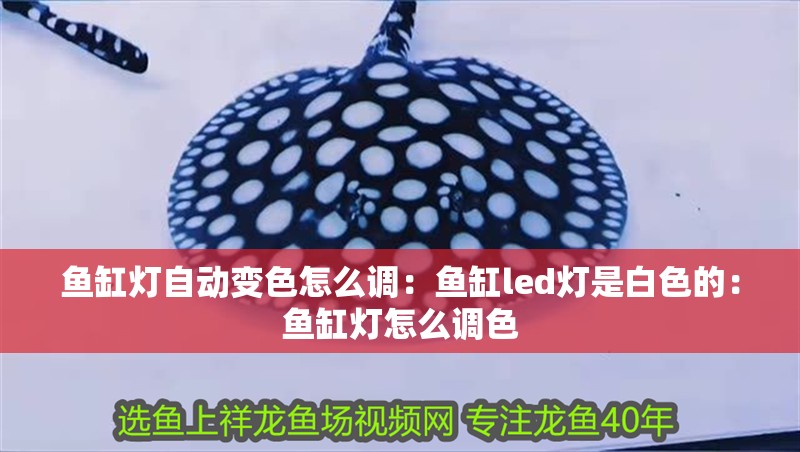 魚缸燈自動變色怎么調：魚缸led燈是白色的：魚缸燈怎么調色