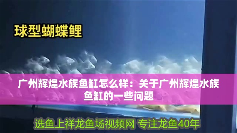 廣州輝煌水族魚缸怎么樣：關(guān)于廣州輝煌水族魚缸的一些問題