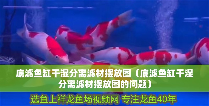 底濾魚缸干濕分離濾材擺放圖（底濾魚缸干濕分離濾材擺放圖的問題）