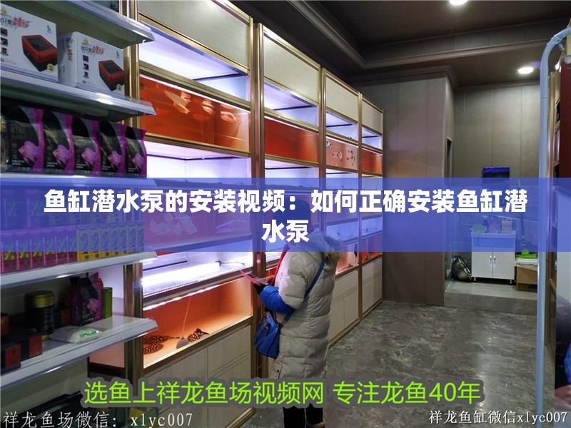 魚缸潛水泵的安裝視頻：如何正確安裝魚缸潛水泵