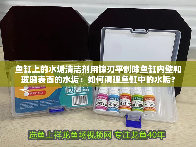 魚缸上的水垢清潔劑用鋒刃平刮除魚缸內(nèi)壁和玻璃表面的水垢：如何清理魚缸中的水垢？ 魚缸上的水垢清潔劑用鋒刃平刮除魚缸內(nèi)壁和玻璃表面的水垢：如何清理魚缸中的水垢？ 魚缸百科