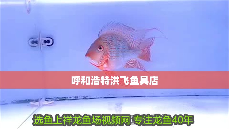 呼和浩特洪飛魚具店