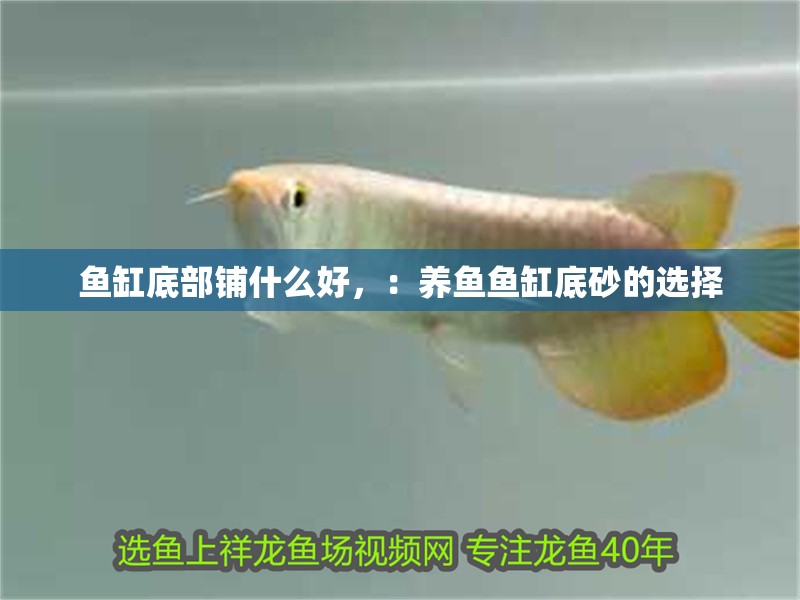 魚缸底部鋪什么好，：養(yǎng)魚魚缸底砂的選擇