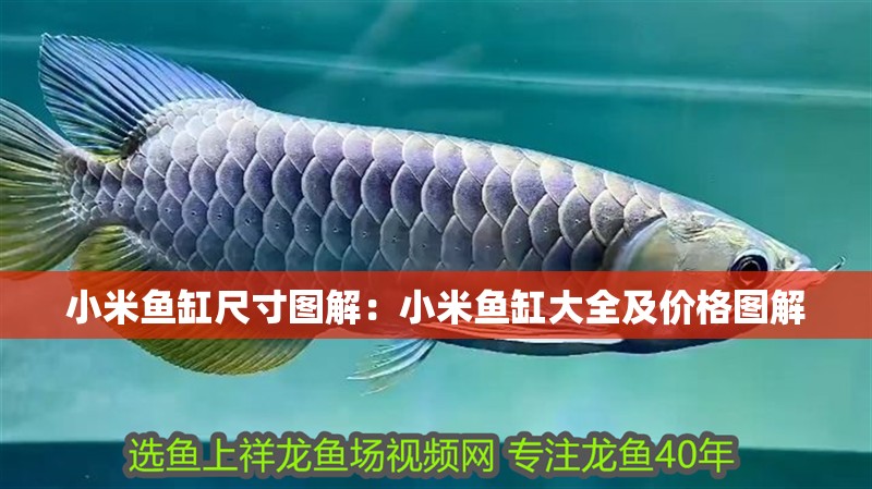 小米魚缸尺寸圖解：小米魚缸大全及價格圖解 小米魚缸尺寸圖解：小米魚缸大全及價格圖解 魚缸百科