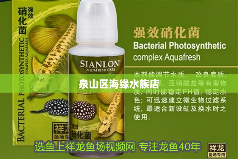 <strong><mark>泉山</mark></strong>區海緣水族店