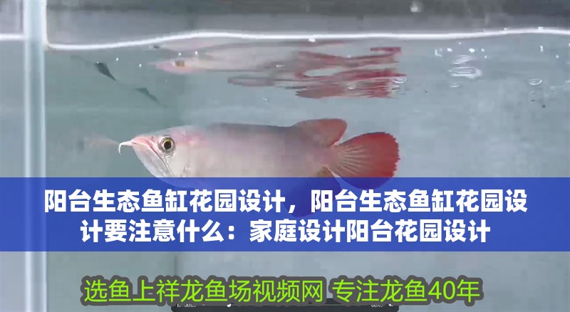 陽臺生態魚缸花園設計，陽臺生態魚缸花園設計要注意什么：家庭設計陽臺花園設計