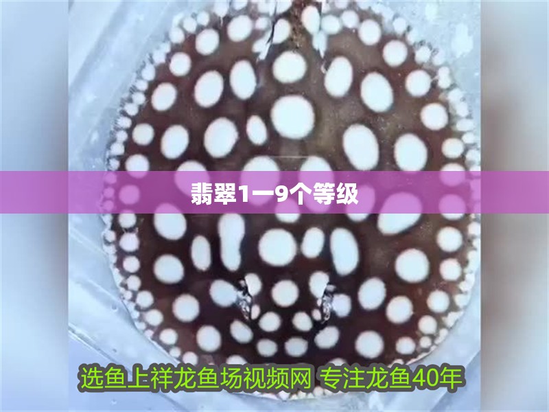 翡翠1一9個(gè)等級(jí)