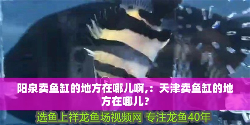 陽泉賣魚缸的地方在哪兒啊,：天津賣魚缸的地方在哪兒？ 陽泉賣魚缸的地方在哪兒啊,：天津賣魚缸的地方在哪兒？ 魚缸百科