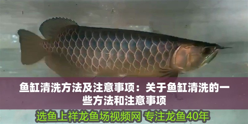 魚缸清洗方法及注意事項：關于魚缸清洗的一些方法和注意事項