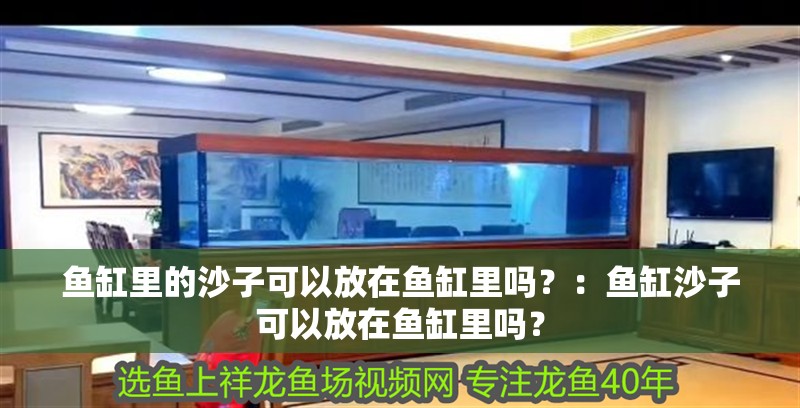 魚缸里的沙子可以放在魚缸里嗎？：魚缸沙子可以放在魚缸里嗎？