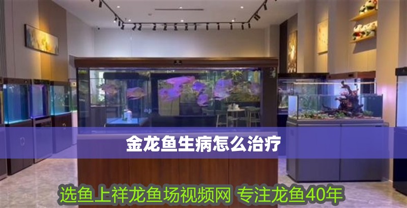 金龍魚生病怎么治療 金龍魚生病怎么治療 龍魚百科