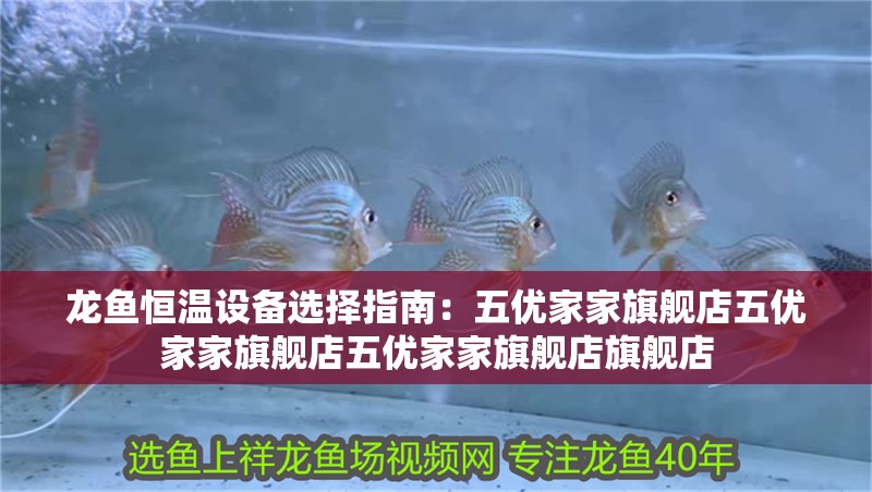 龍魚(yú)恒溫設(shè)備選擇指南：五優(yōu)家家旗艦店五優(yōu)家家旗艦店五優(yōu)家家旗艦店旗艦店