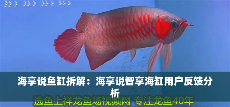 海享說魚缸拆解：海享說智享海缸用戶反饋分析