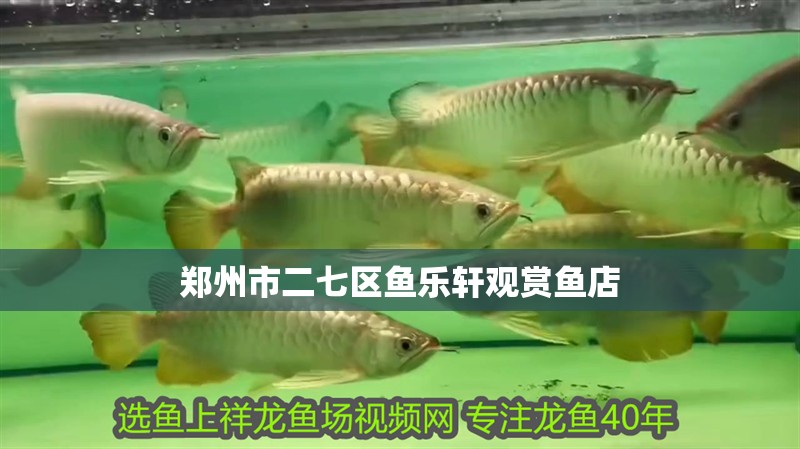 鄭州市二七區魚樂軒觀賞魚店 鄭州市二七區魚樂軒觀賞魚店 全國水族館企業名錄