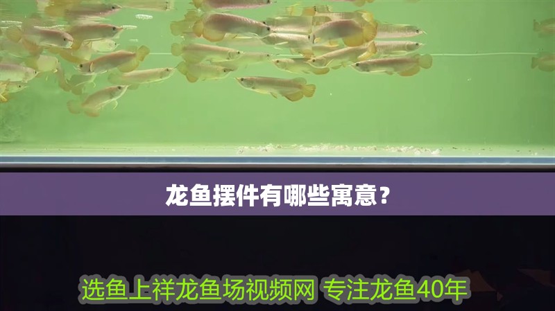 龍魚(yú)擺件有哪些寓意？