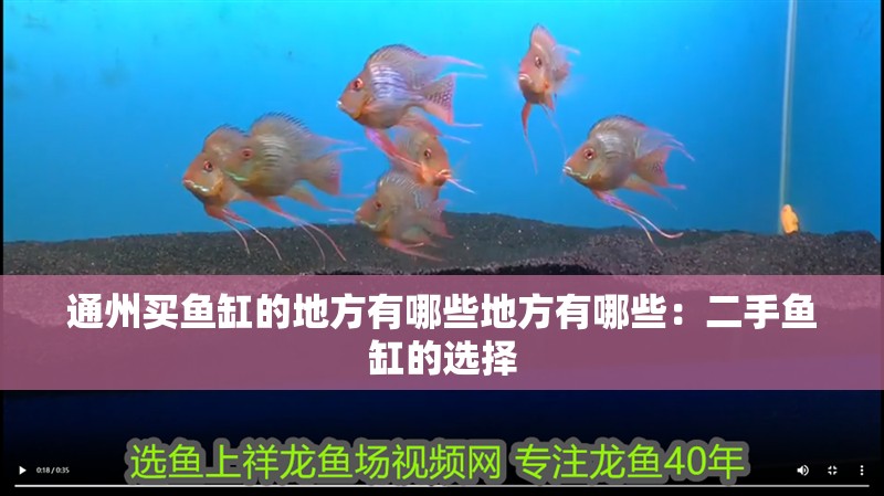 <strong><mark>通州</mark></strong>買魚缸的地方有哪些地方有哪些：二手魚缸的選擇