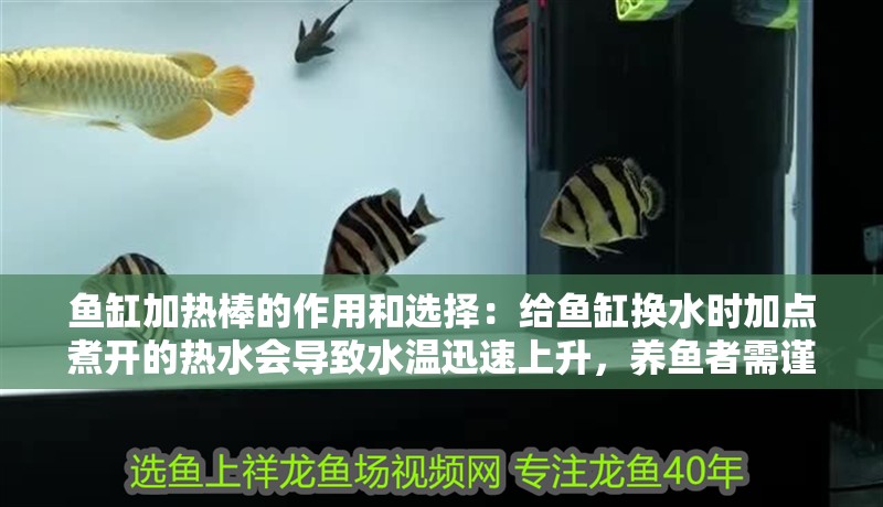 魚缸加熱棒的作用和選擇：給魚缸換水時(shí)加點(diǎn)煮開的熱水會(huì)導(dǎo)致水溫迅速上升，養(yǎng)魚者需謹(jǐn)慎