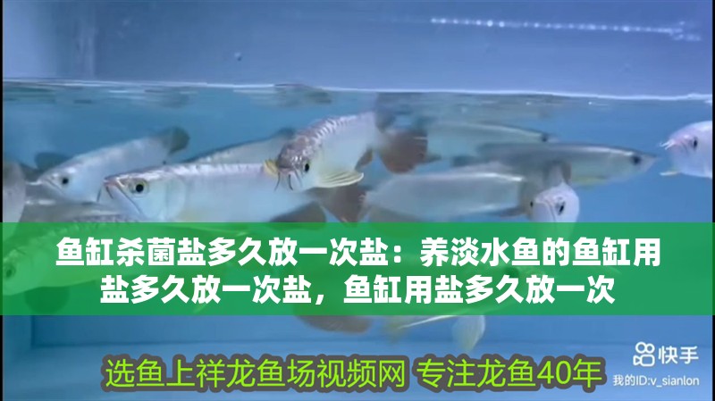魚缸殺菌鹽多久放一次鹽：養淡水魚的魚缸用鹽多久放一次鹽，魚缸用鹽多久放一次