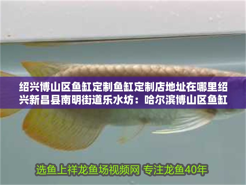 紹興博山區魚缸定制魚缸定制店地址在哪里紹興<strong><mark>新昌</mark></strong>縣南明街道樂水坊：哈爾濱博山區魚缸定制魚缸定制店地址在哪里紹興<strong><mark>新昌</mark></strong>縣南明街道