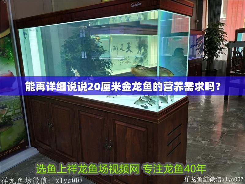 能再詳細說說20厘米金龍魚的營養需求嗎？