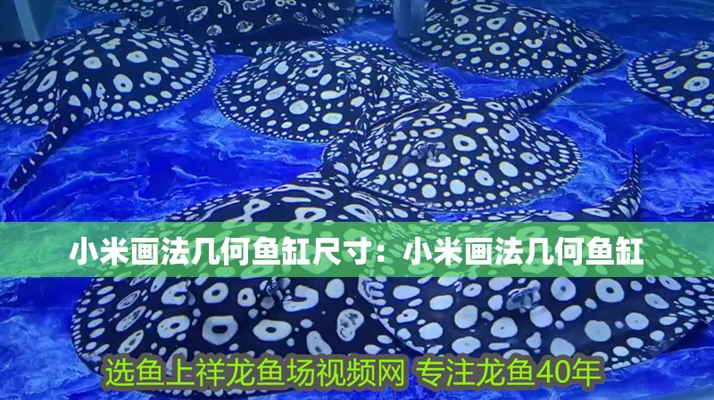 小米畫法幾何魚缸尺寸：小米畫法幾何魚缸 小米畫法幾何魚缸尺寸：小米畫法幾何魚缸 魚缸百科