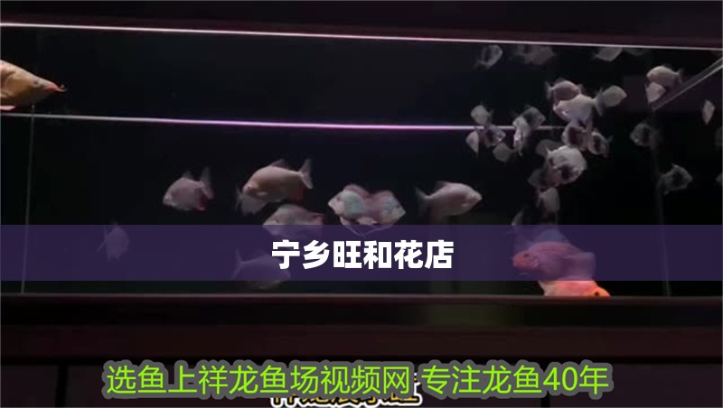 寧鄉(xiāng)旺和花店
