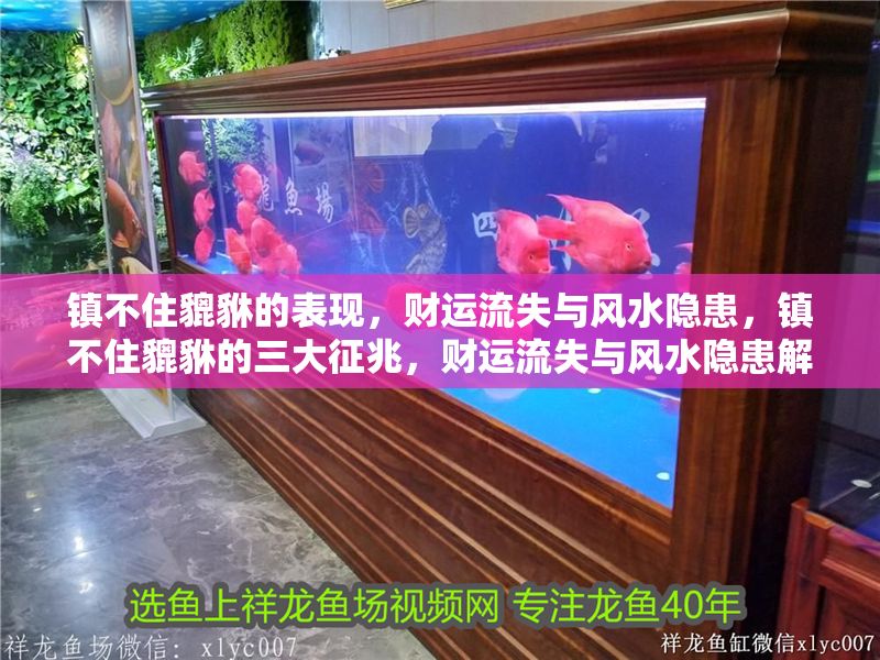 鎮(zhèn)不住貔貅的表現(xiàn)，財運流失與風水隱患，鎮(zhèn)不住貔貅的三大征兆，財運流失與風水隱患解析